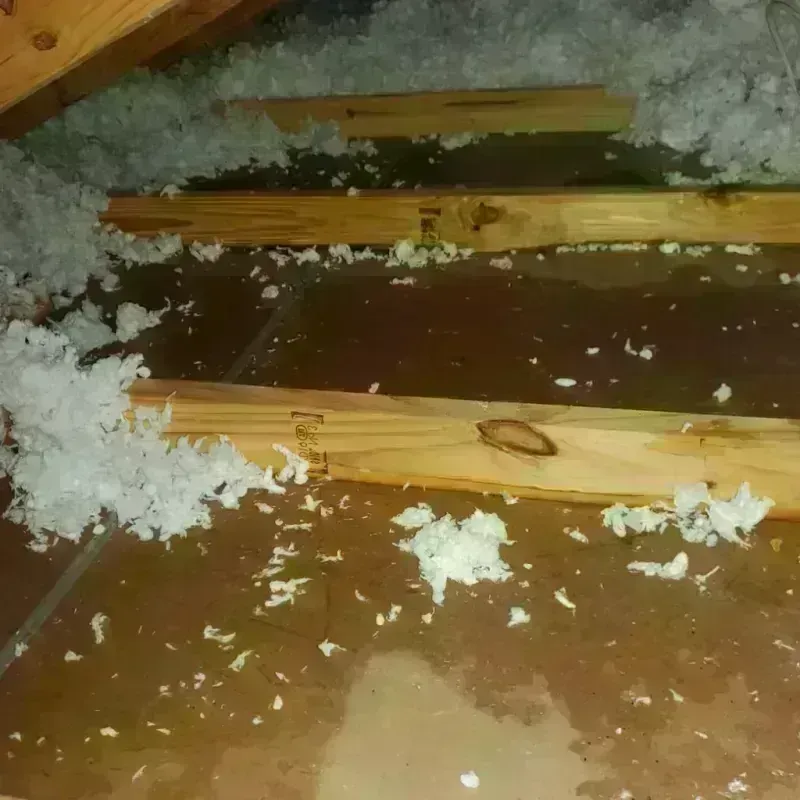 Attic Water Damage in Ashdown, AR