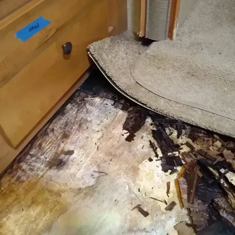 Best Wood Floor Water Damage Service in Ashdown, AR